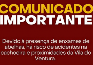 Secretaria de Meio Ambiente emite alerta sobre presença de abelhas na Vila do Ventura e arredores